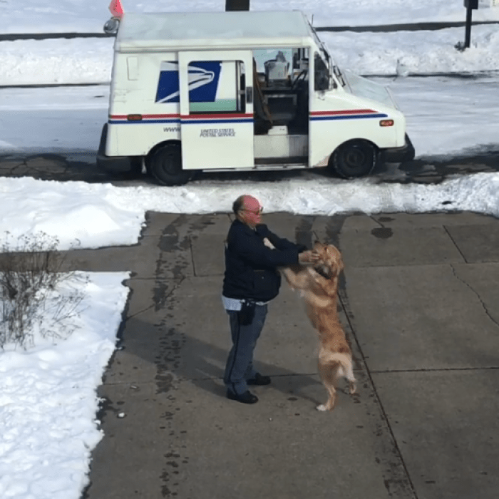 Куче чака на двора всеки ден, за да получи прегръдка от пощальона (видео и снимки)