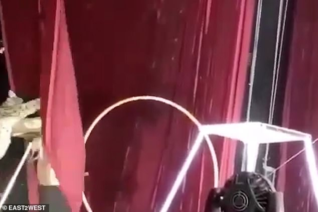 Рис нападна дресьора си по време на цирково представление (видео 18+)