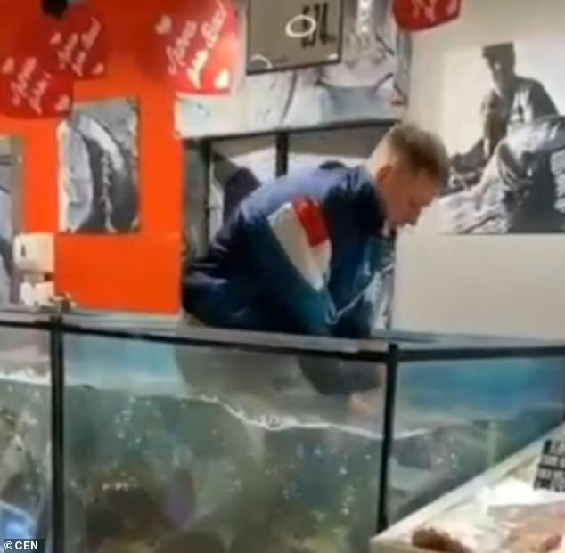Мъж влиза в аквариум с риба, за да извади годежен пръстен, хвърлен след отказ на предложение за брак (видео и снимки)