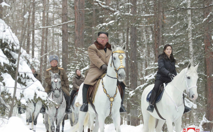 Ким Чен Ун си е купил 12 коня за над 75 000 долара от Русия (видео и снимки)