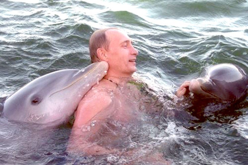 Владимир Путин плува с делфини, разкриват непоказвани досега архивни кадри (видео)