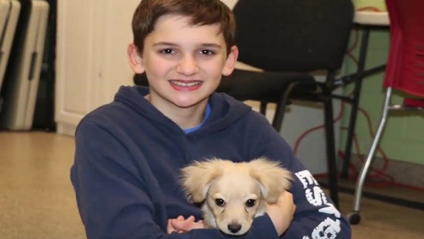12-годишно момче направи проходилка от LEGO за своето кученце с увреждания (видео и снимки)