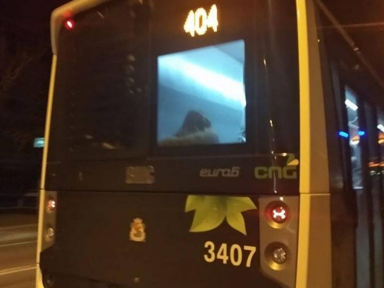 Ултраси нападнаха и съблякоха момче в столичен автобус заради надпис ЦСКА (видео)