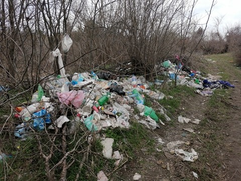 Трупове на умрели животни и купища боклуци се изхвърлят в борова горичка край Русе (снимки)