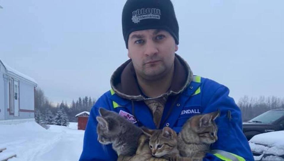 Мъж спаси три котенца със залепнали от студ лапички, използвайки топлото си кафе (видео)