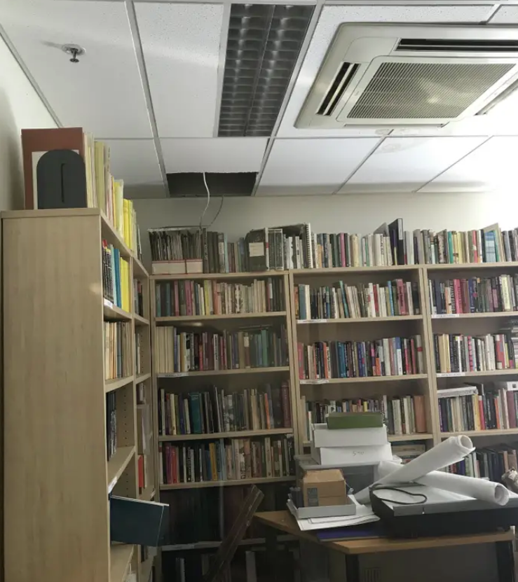 Малък пухкав опосум опустоши цял офис (видео и снимки)