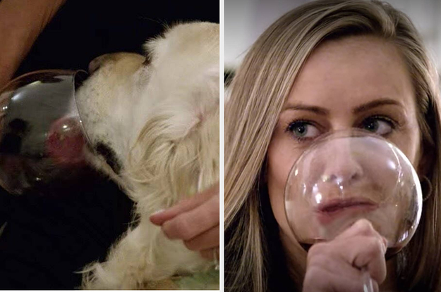 Звезда на Netflix даде вино на кучето си и възмути социалните мрежи (видео и снимки)